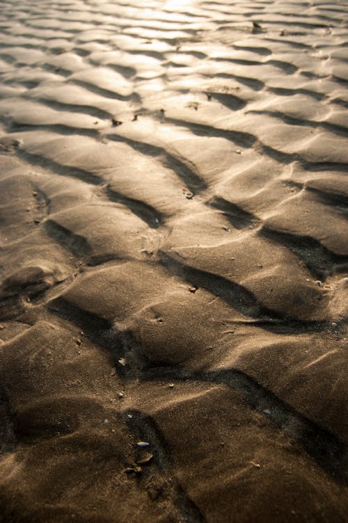 Gratis arkivbilde med brun sand, mønster, nærbilde