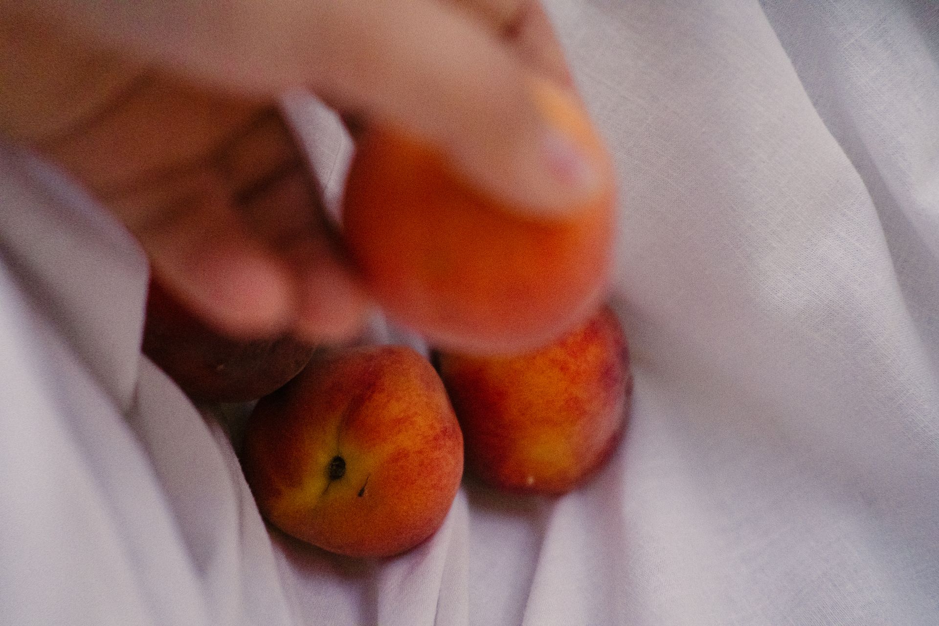From above of anonymous person putting fresh fruit on textile with pile of healthy peaches during harvest season on summertime