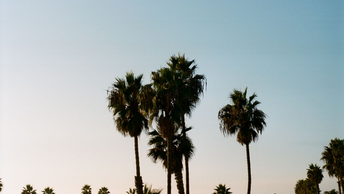 Best Family Giveaways in Chula Vista, CA: 2026 Local Guide