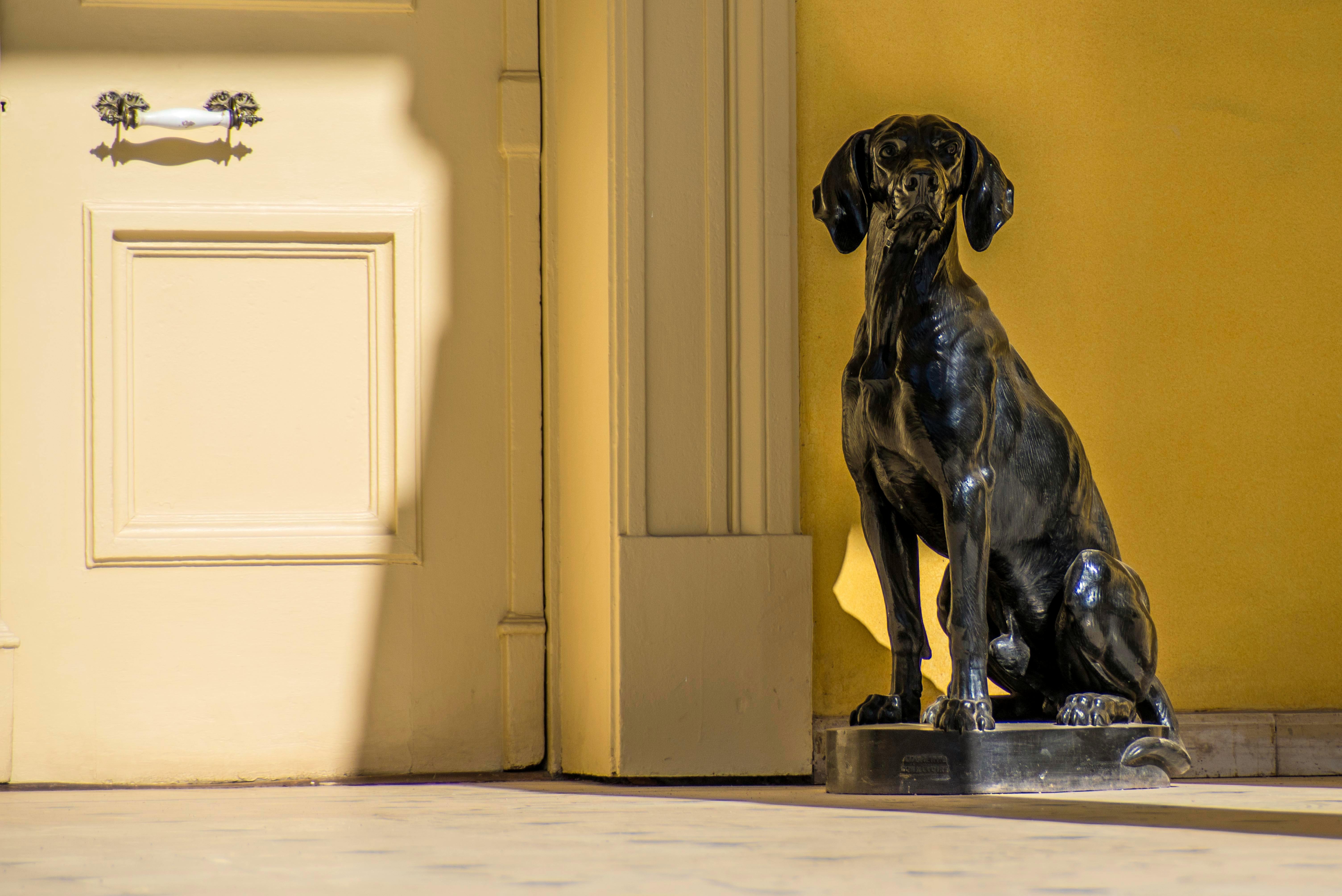 Free stock photo of art, dog, sculpture