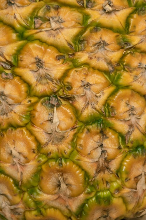 Close Up Shot of a Pineapple 