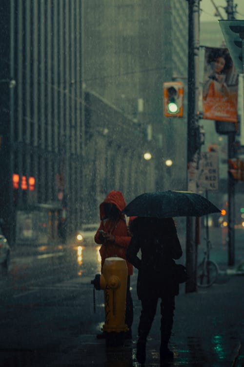 A Person in Black Coat Holding an Umbrella while on the Street