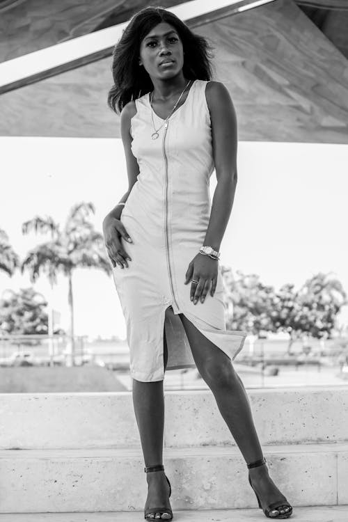 Free Black and white of African American slim female in stylish dress in sunny weather in summer Stock Photo
