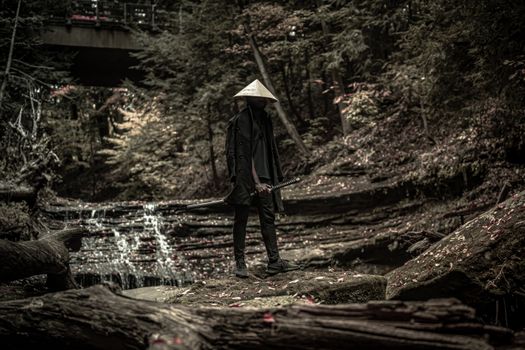 A lone samurai with a sword stands in a forest, evoking traditional Japanese culture.
