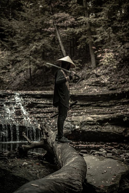 Free A samurai with a sword standing on a log in a tranquil forest setting. Stock Photo