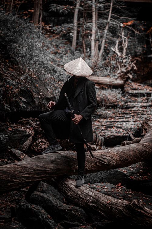 Free A person in traditional clothing and hat stands on a tree log with sword in a dark forest. Stock Photo