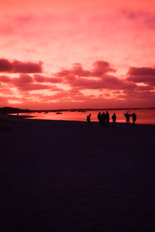 Silhouette of People Standing on the Beach during Sunset