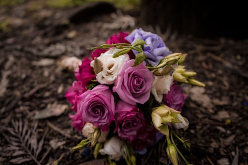 Flower Bouquet in Close Up Shot