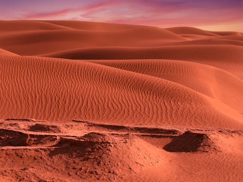 Gratis Immagine gratuita di ambiente, deserto, dune Foto a disposizione
