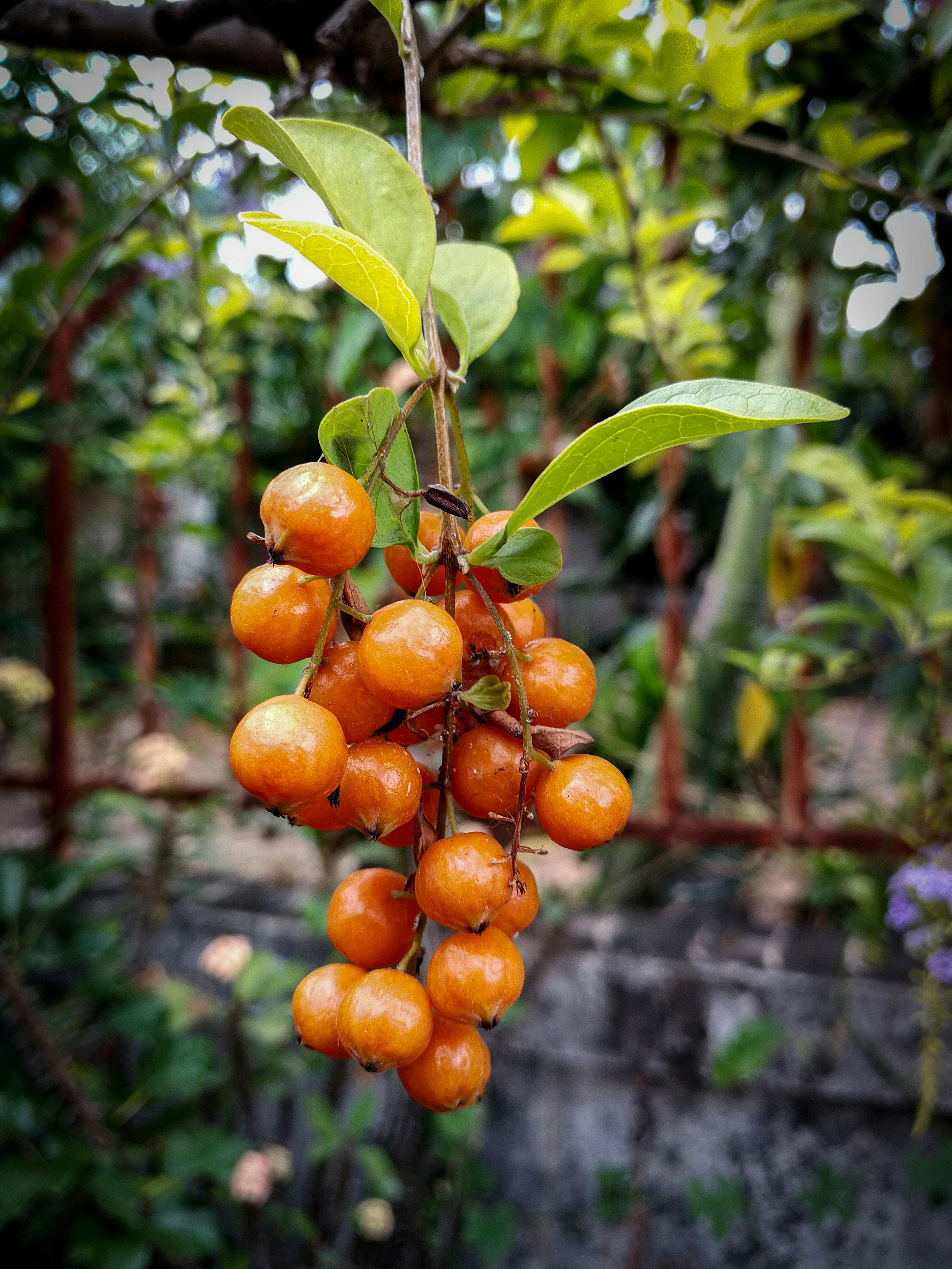 Section 4 — evidence-based parenting tips