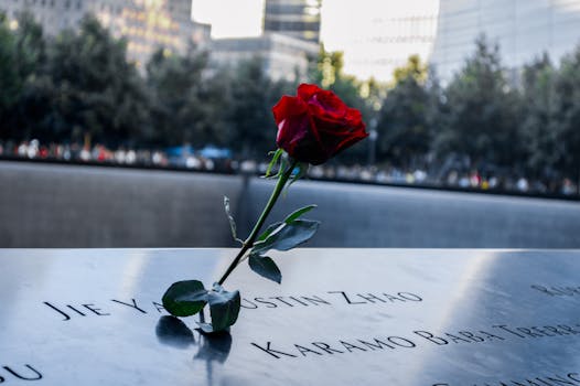 A single red rose placed on the 9/11 Memorial with names engraved, symbolizing remembrance.