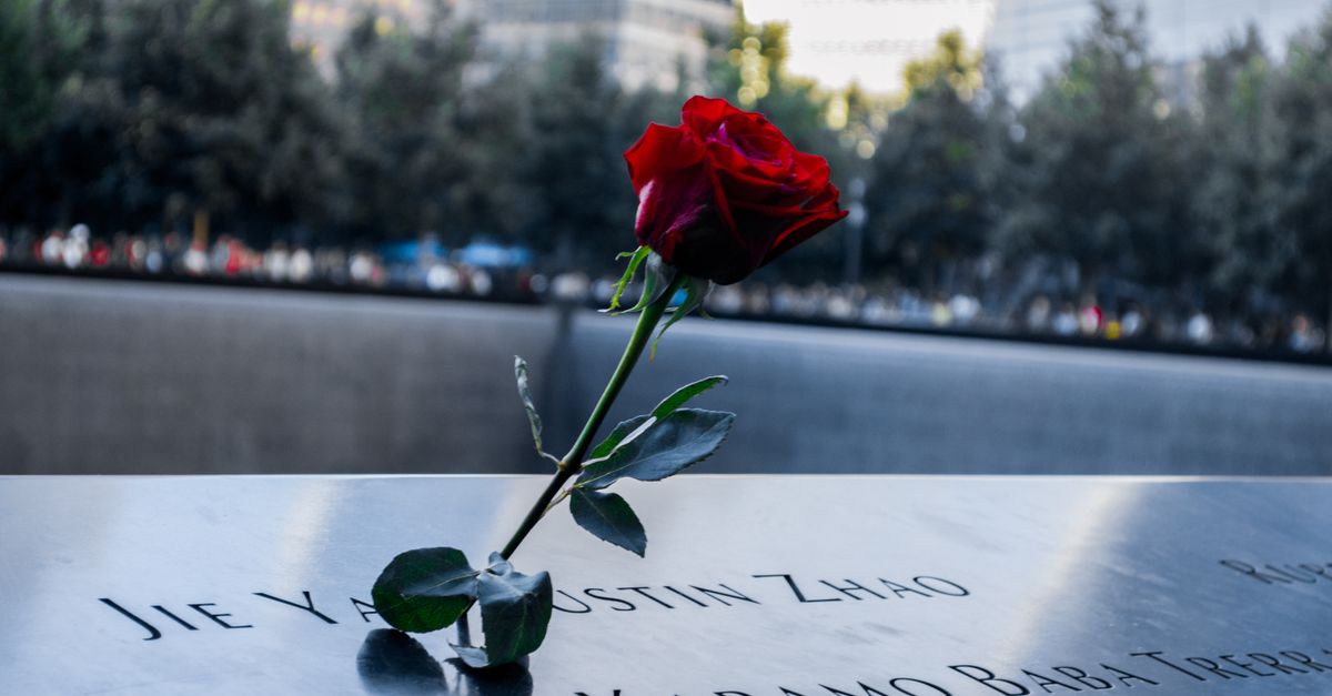Red Roses Memorial Red Rose on a Memorial Stone · Free Stock Photo