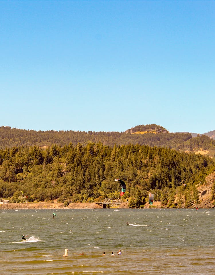 Water Activities In The Lake By The Forest