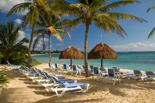 Sun Loungers on the Beach