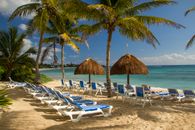 White and Brown Beach Lounge Chairs Near Beach