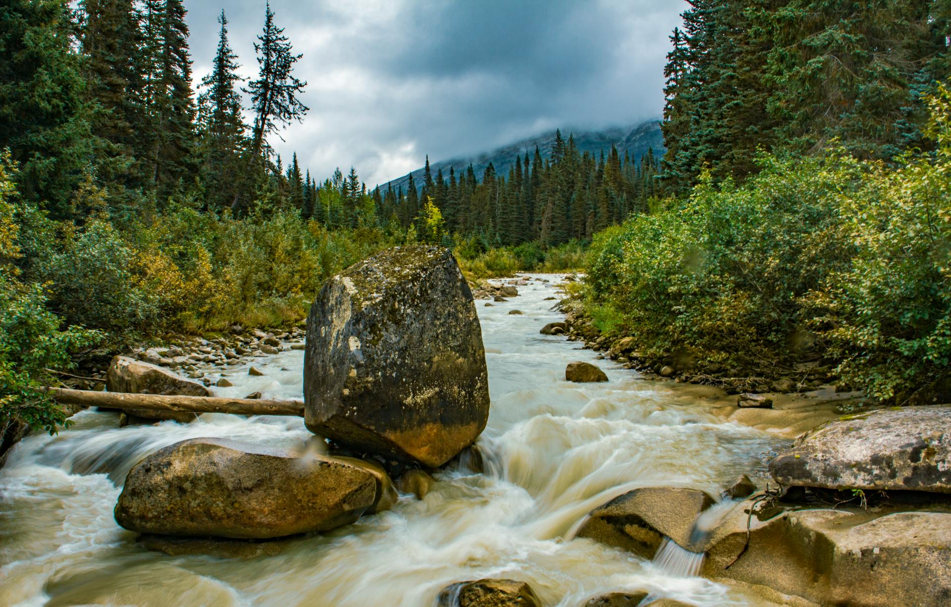 Serene view of a creek flowing through lush forest in Skagway, Alaska.