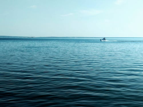 무료 바다, 배, 스피드보트의 무료 스톡 사진