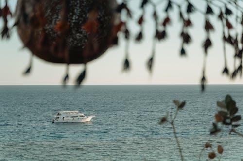 Základová fotografie zdarma na téma člun, horizont, jachta