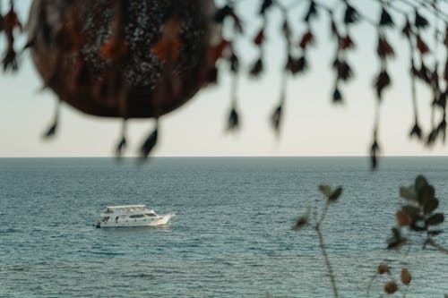 Kostenloses Stock Foto zu boot, horizont, kreuzfahrt