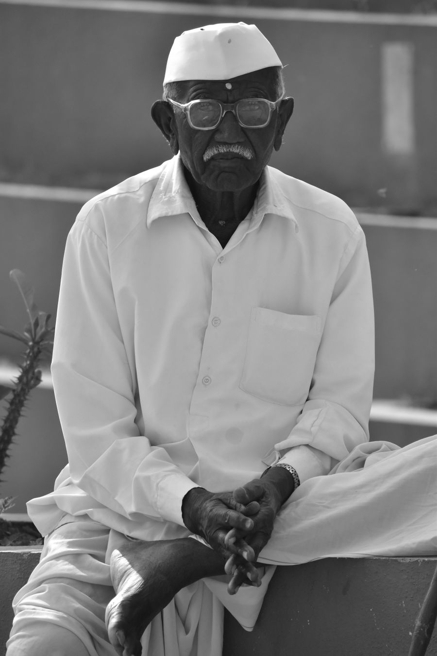 Portrait, Pune