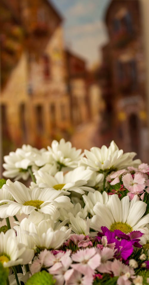 Foto profissional grátis de colorido, flores, flores bonitas