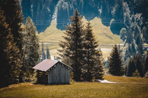 木造住宅, 環境, 田舎の無料の写真素材
