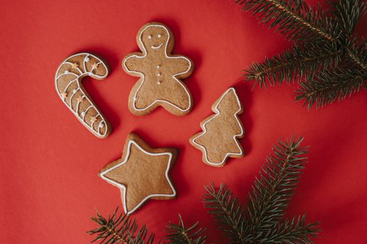 Iced Gingerbread Iced Gingerbread Flavored Protein Bar