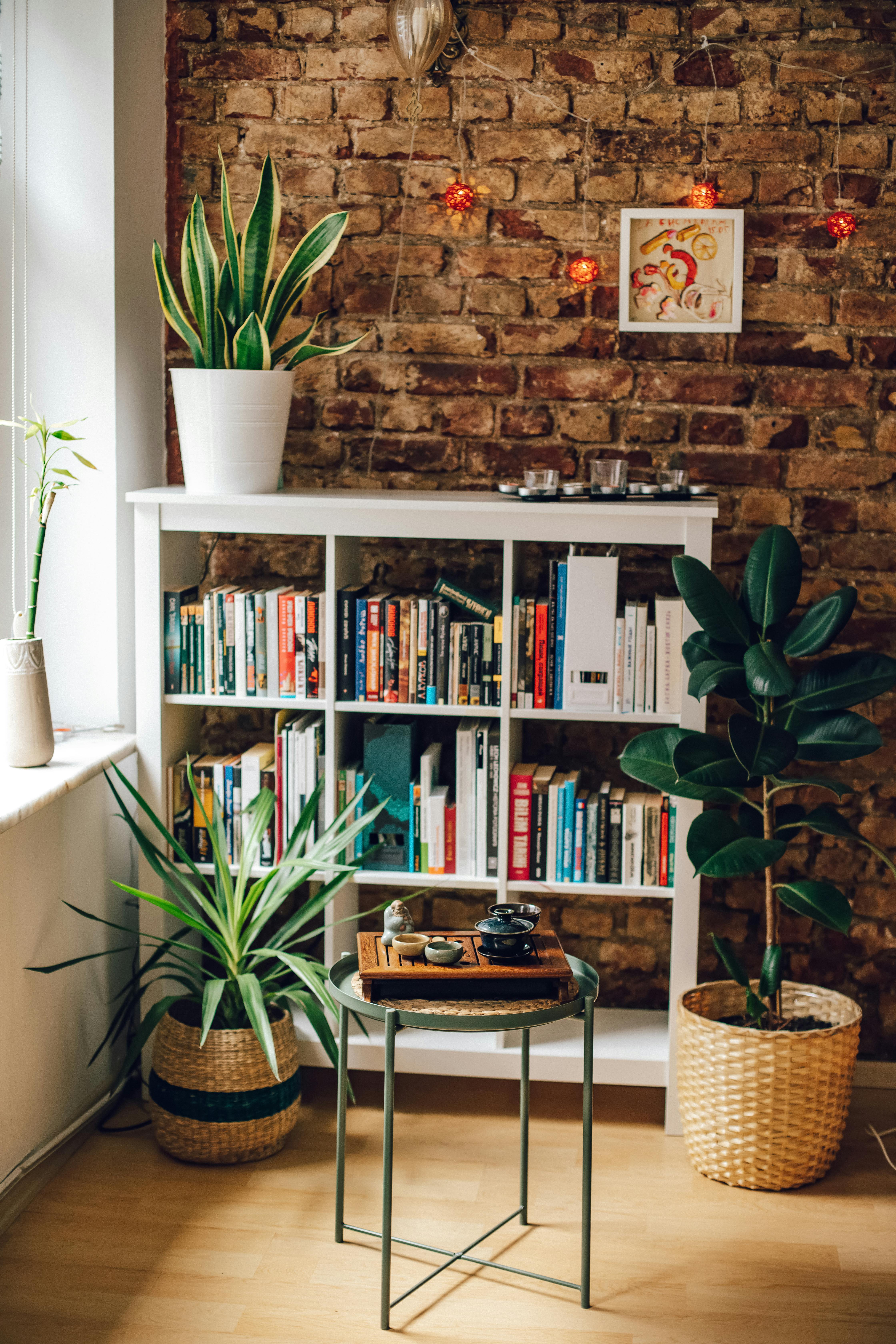 Free Warm and inviting reading corner featuring a bookshelves, houseplants, and rustic brick wall. Stock Photo