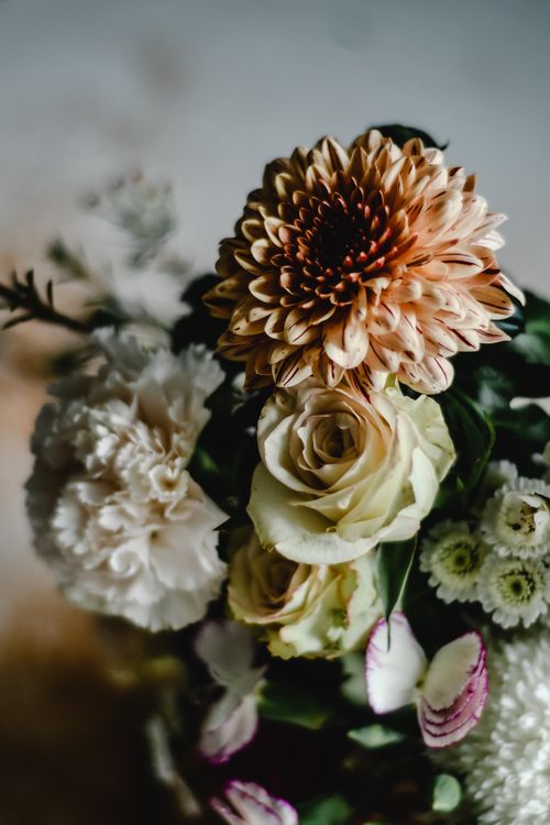 Free A captivating close-up of a floral bouquet with chrysanthemums, roses, and delicate foliage. Stock Photo