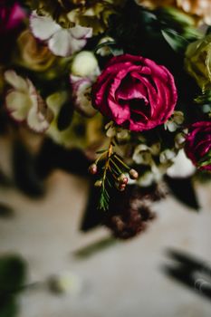 特写镜头中，喜怒无常的莲花花束，花瓣充满活力