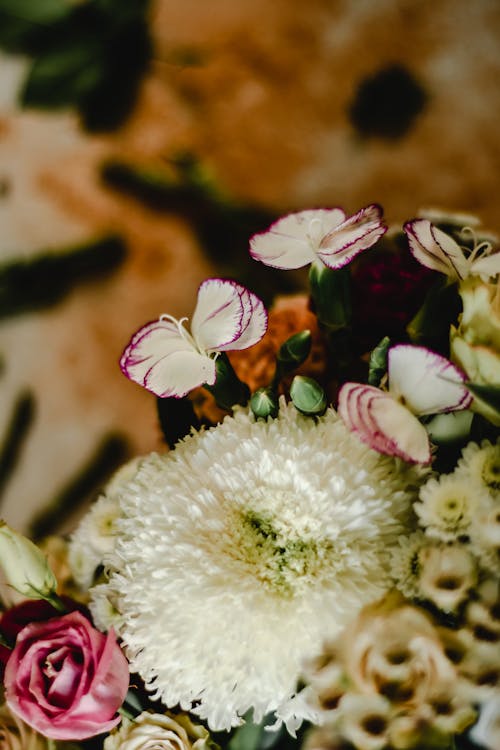 Bouquet of Flowers in Close Up Photography