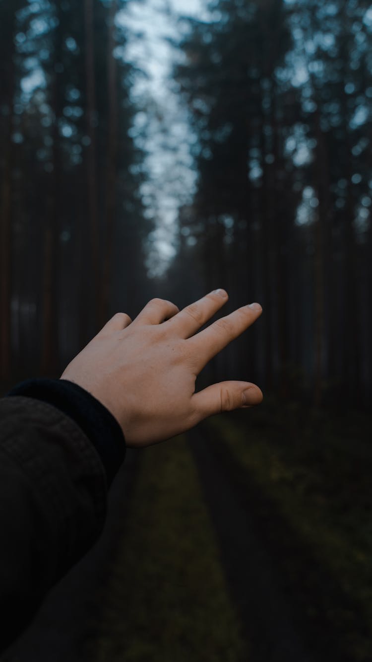 Crop Man Reaching Hand Forward In Forest