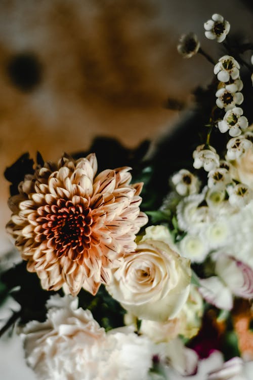 A Close-Up Shot of a Flower Arrangement