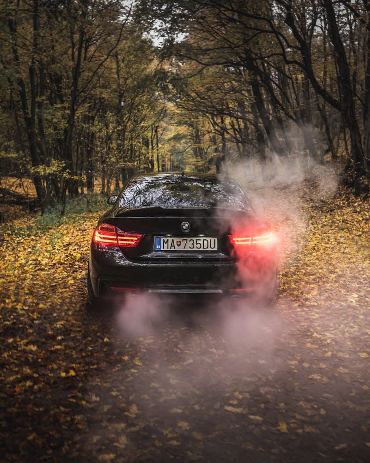 New Expensive Car With Luminous Taillights In Smoke