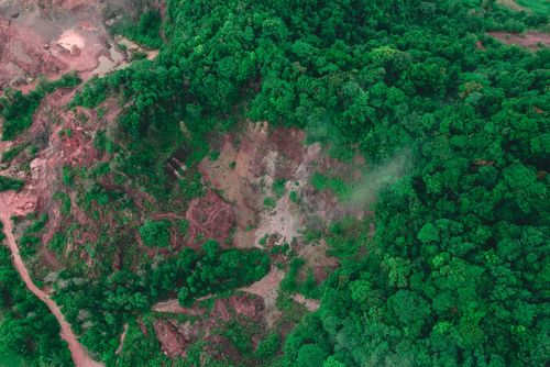 Free Picturesque aerial view of lush forest with green trees growing on hill slope in countryside Stock Photo