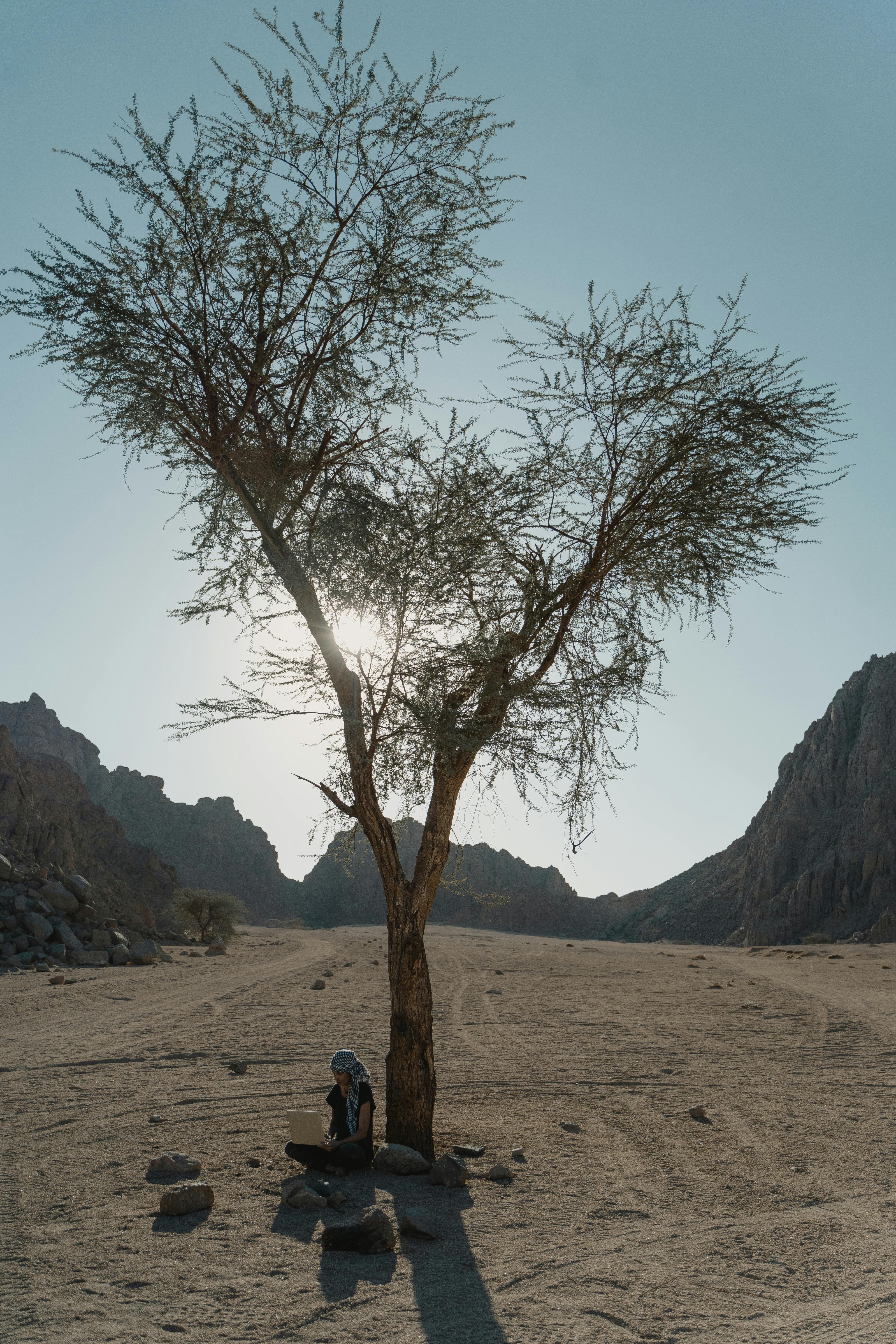 50,000+ Best Square Rocks Photos · 100% Free Download · Pexels Stock Photos