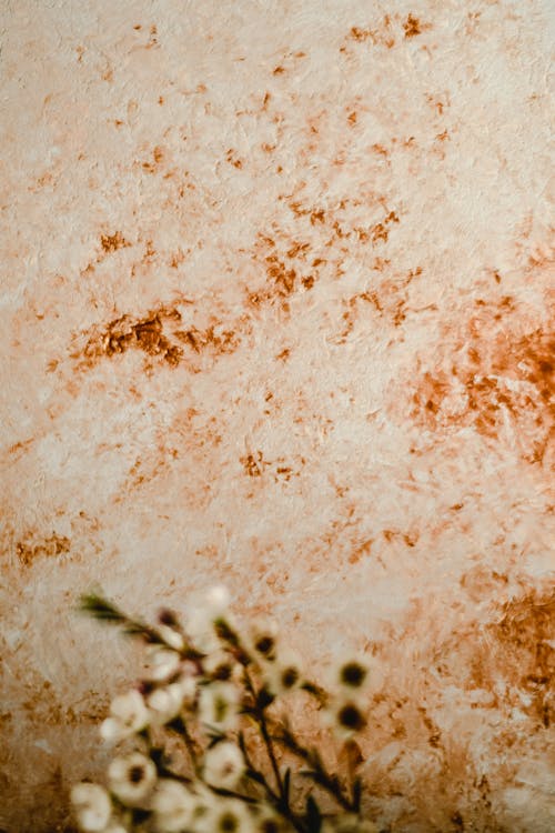 Белый и коричневый песок с зелеными листьями