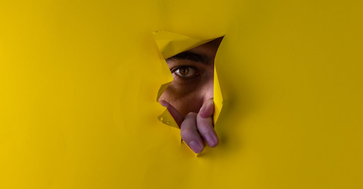 The Labyrinth of Shadows 1 image text