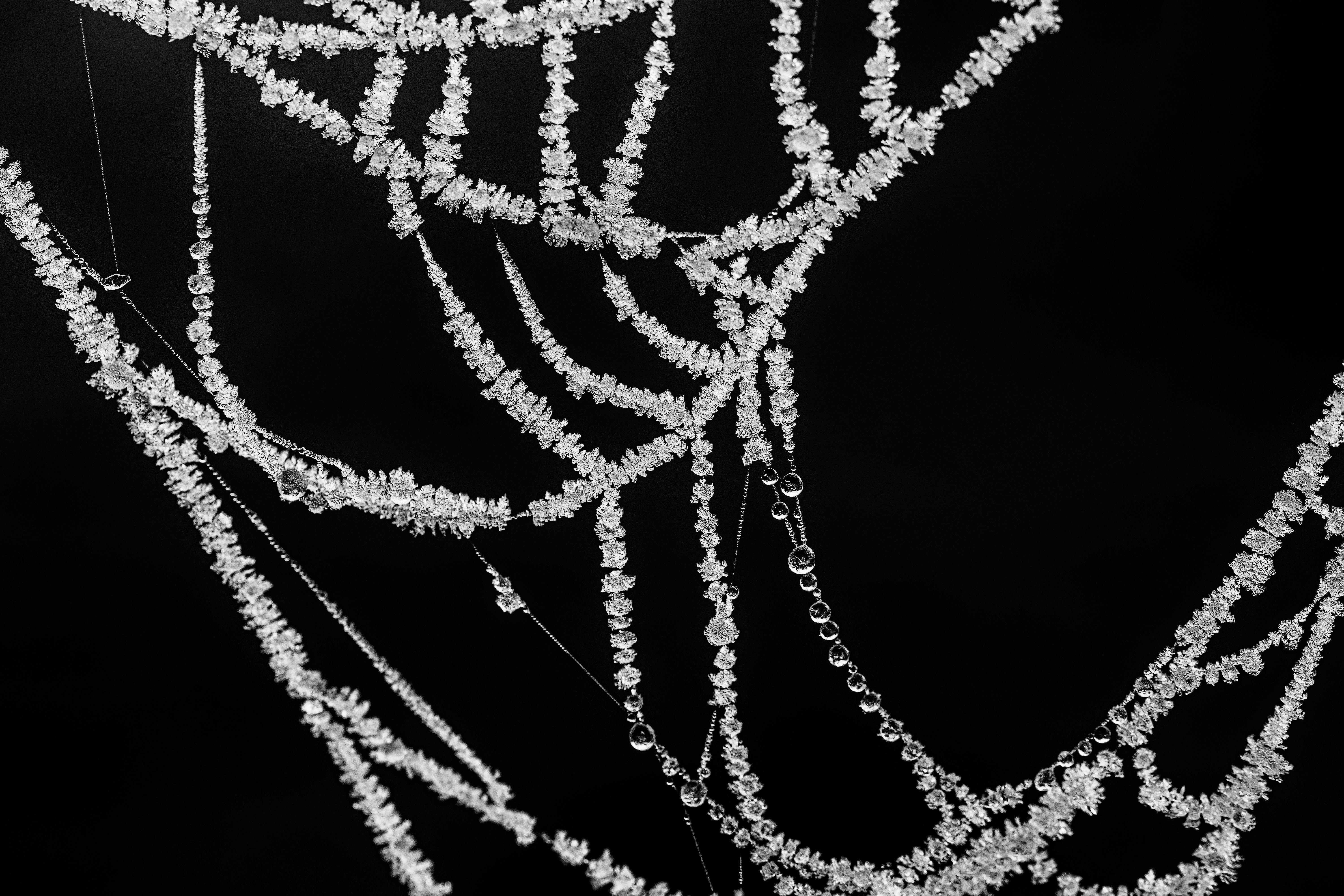 close up of a spider web with frost