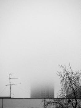 A fog-covered building obscured by mist with a bare tree and antenna in the foreground.