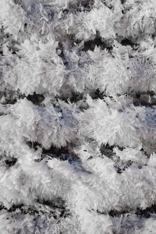Close-Up Photo Of Snow Crystals