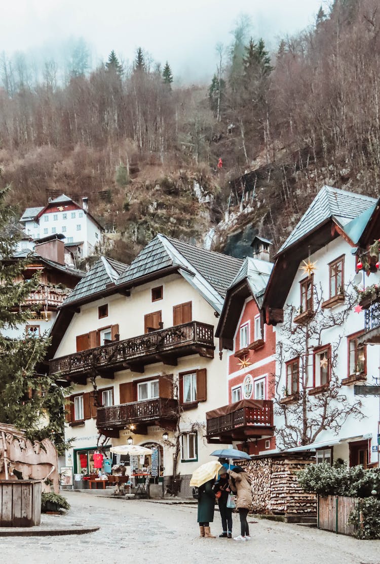 Houses In Hallstatt Australia