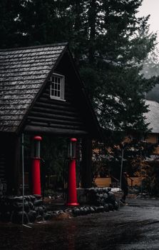 松树林中有一间木屋，里面放着一个老式红色汽油泵