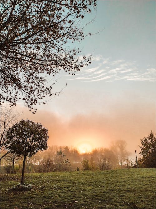 Foto profissional grátis de amanhecer cedo, cores do nascer do sol, Danúbio