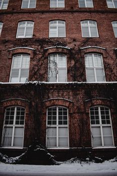芬兰坦佩雷，一栋爬满藤蔓、覆盖积雪的砖砌建筑，从低角度拍摄的视图