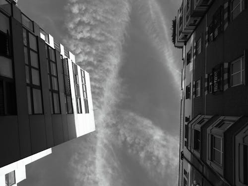 Graustufenfoto Der Wurmperspektive Des Gebäudes