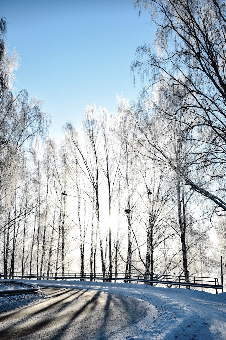 
A Road Curve During Winter