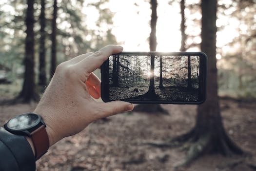 Hand holding a smartphone capturing a forest scene during sunrise, showcasing nature photography.