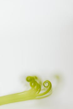 Detailed macro shot highlighting a green vine tendril with a blurred background.