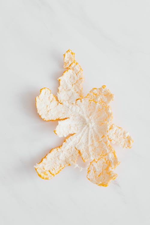 Orange Peel on White Background 